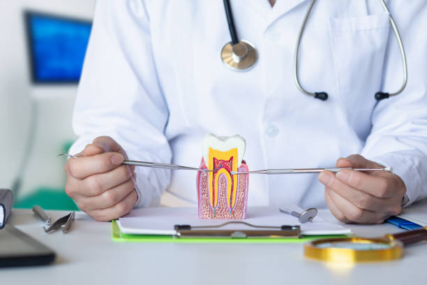 Best Emergency Dental Surgery in Interlaken, CA